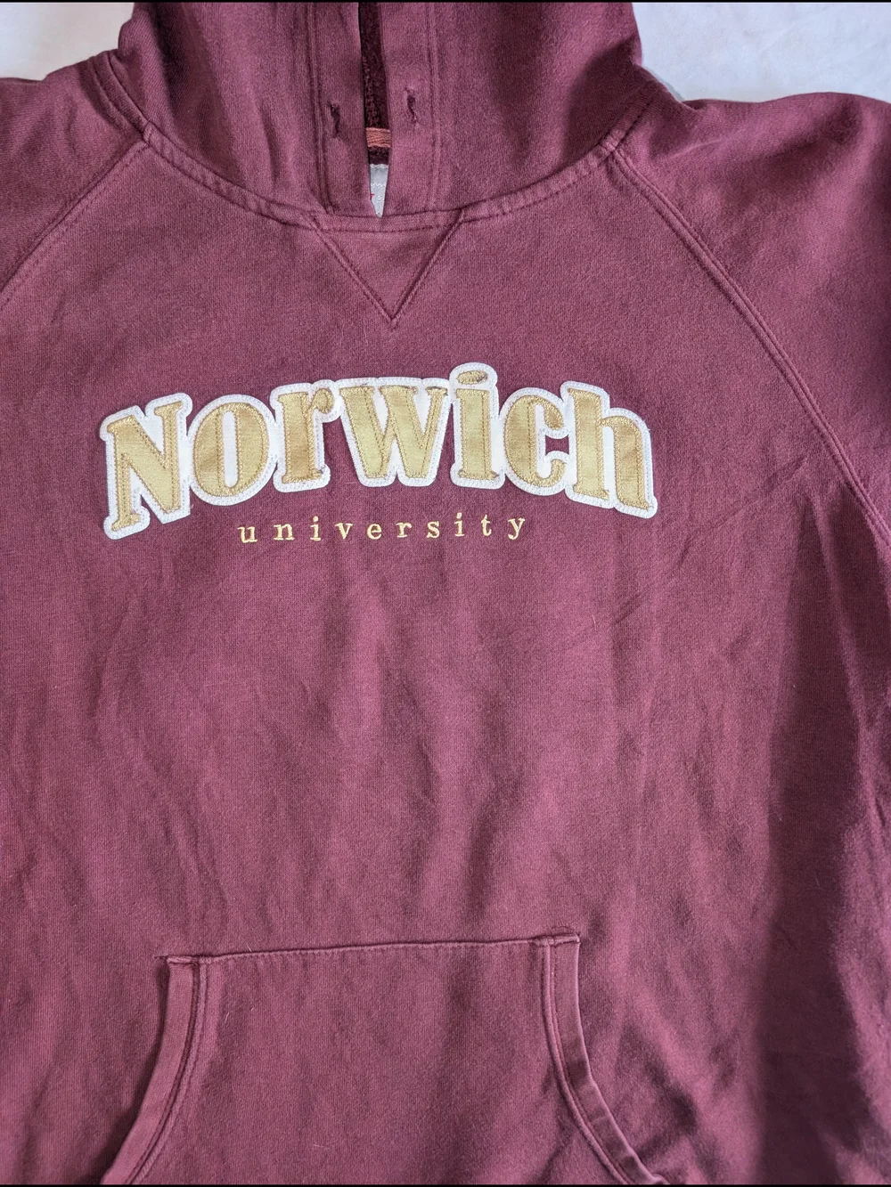 Norwich University Hoodie pockets Champion - Picture 2 of 7